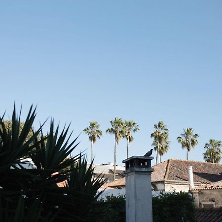 Flh Principe Real Apartment With Terrace And View Lisabona Exterior foto
